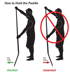 how-to-hold-paddle-board-paddle